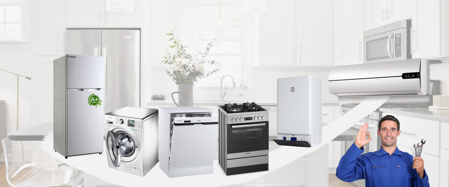 Foça Electrolux Servisi
